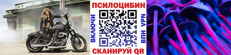 купить наркотик  Карабаново  blacksprut маркетплейс  Галлюциногенные грибы мицелий 